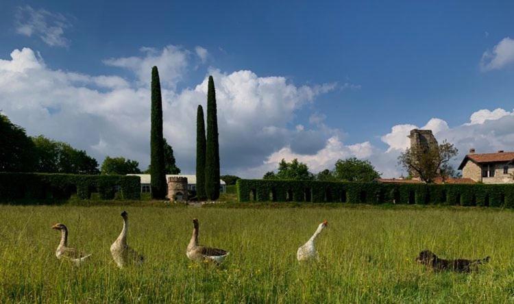 Bed and Breakfast Castello Di Cernusco Lombardone Exterior foto